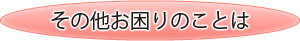 その他お困りのことは